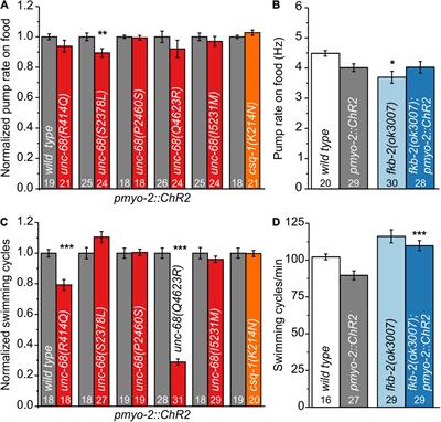 An Optogenetic Arrhythmia Model—Insertion of Several Catecholaminergic Polymorphic Ventricular Tachycardia Mutations Into Caenorhabditis elegans UNC-68 Disturbs Calstabin-Mediated Stabilization of the Ryanodine Receptor Homolog